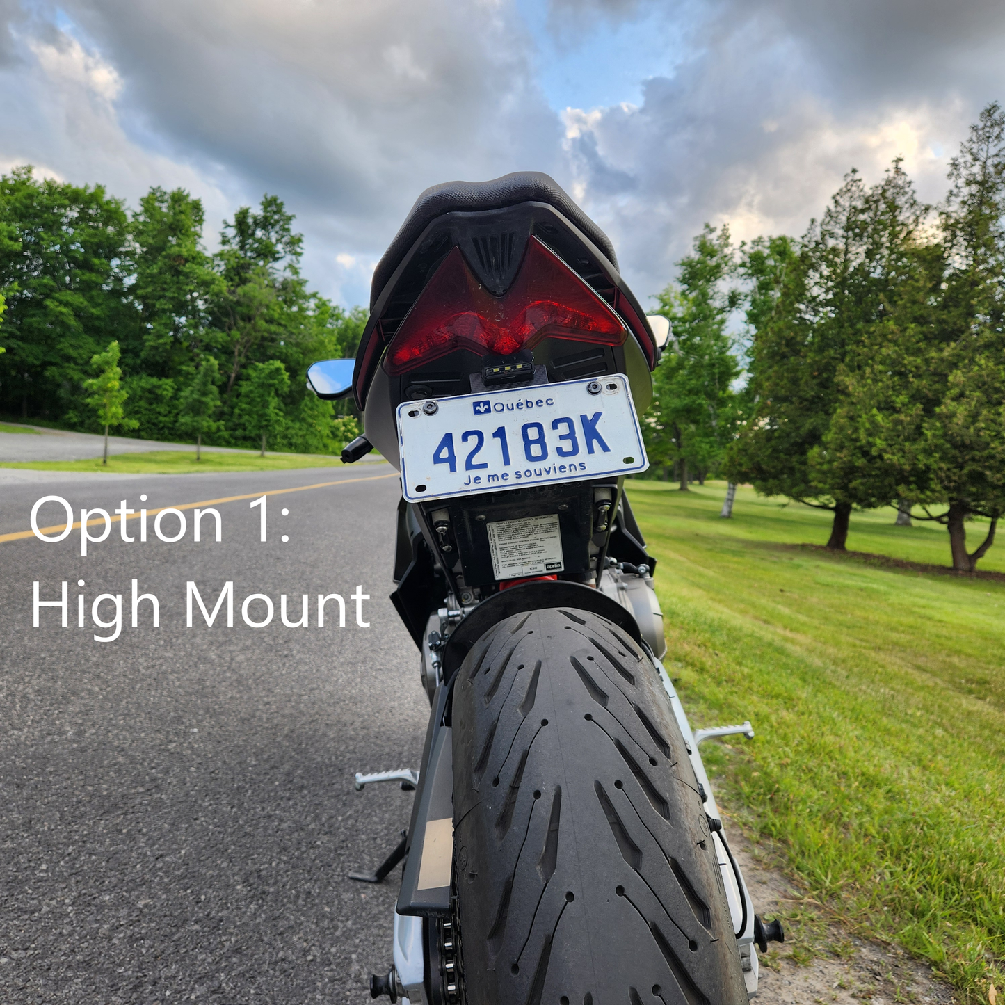 Adjustable Carbon Fiber Fender Eliminator (No Turn Signals) for Aprilia RS 660 / Tuono 660