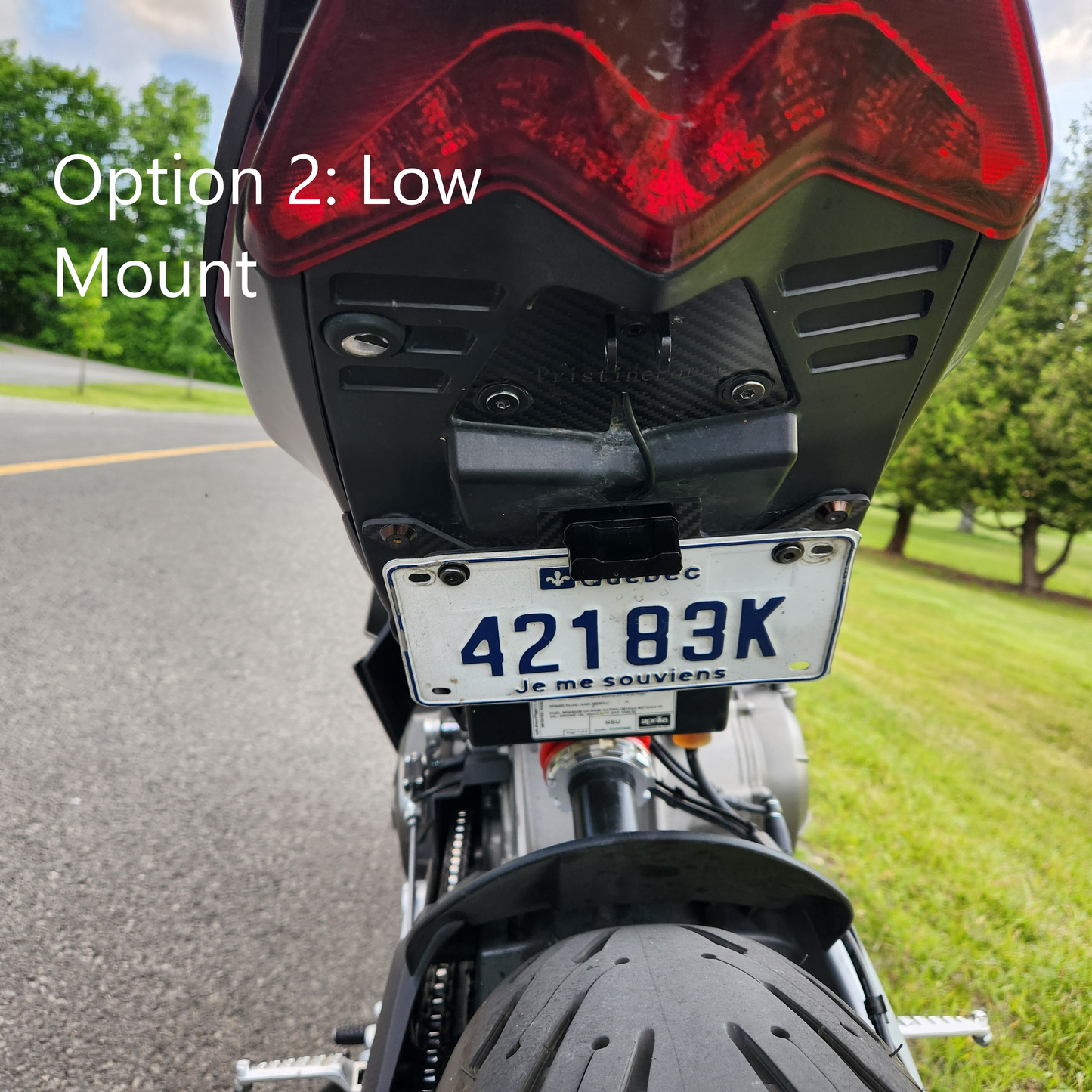 Adjustable Carbon Fiber Fender Eliminator (No Turn Signals) for Aprilia RS 660 / Tuono 660