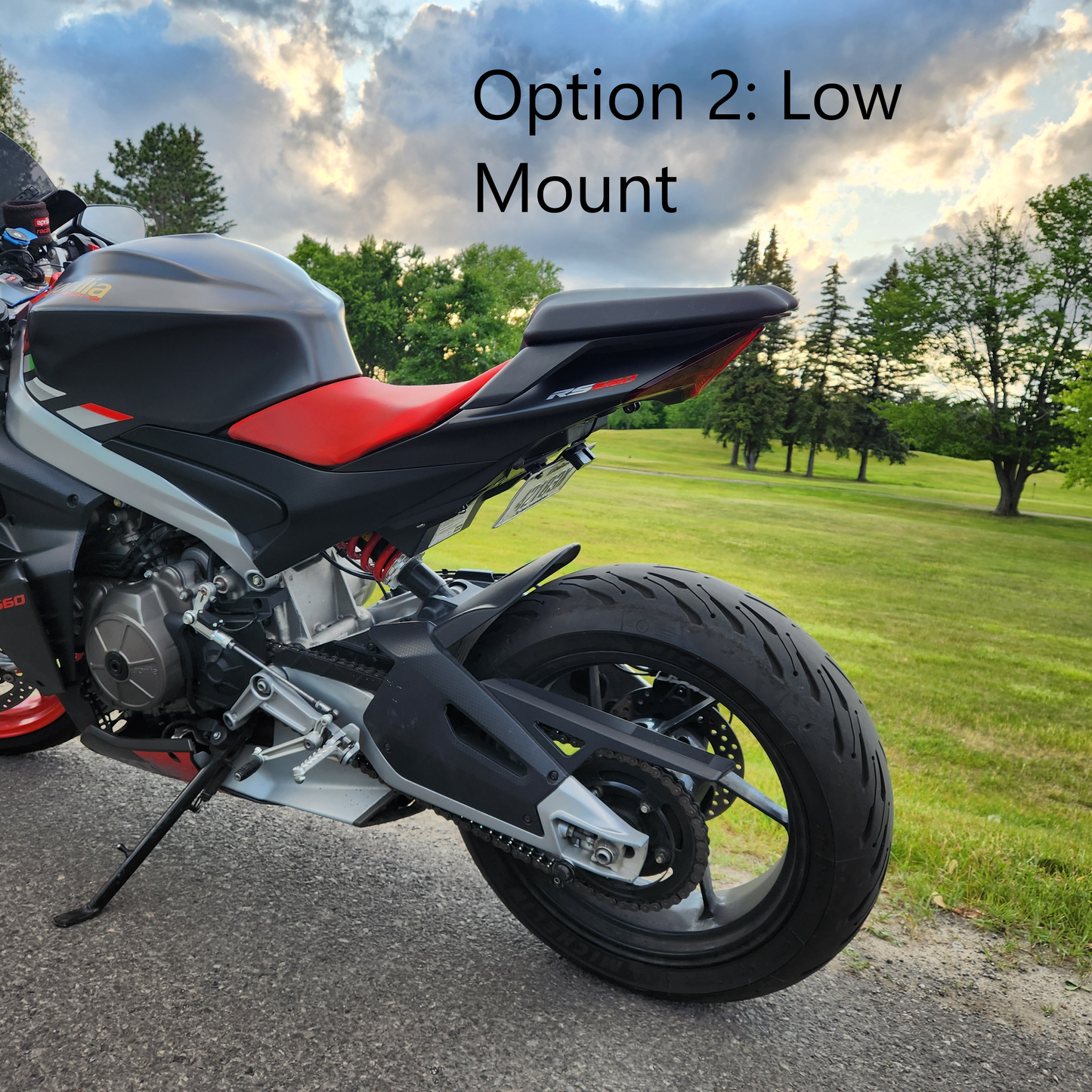 Adjustable Carbon Fiber Fender Eliminator (No Turn Signals) for Aprilia RS 660 / Tuono 660