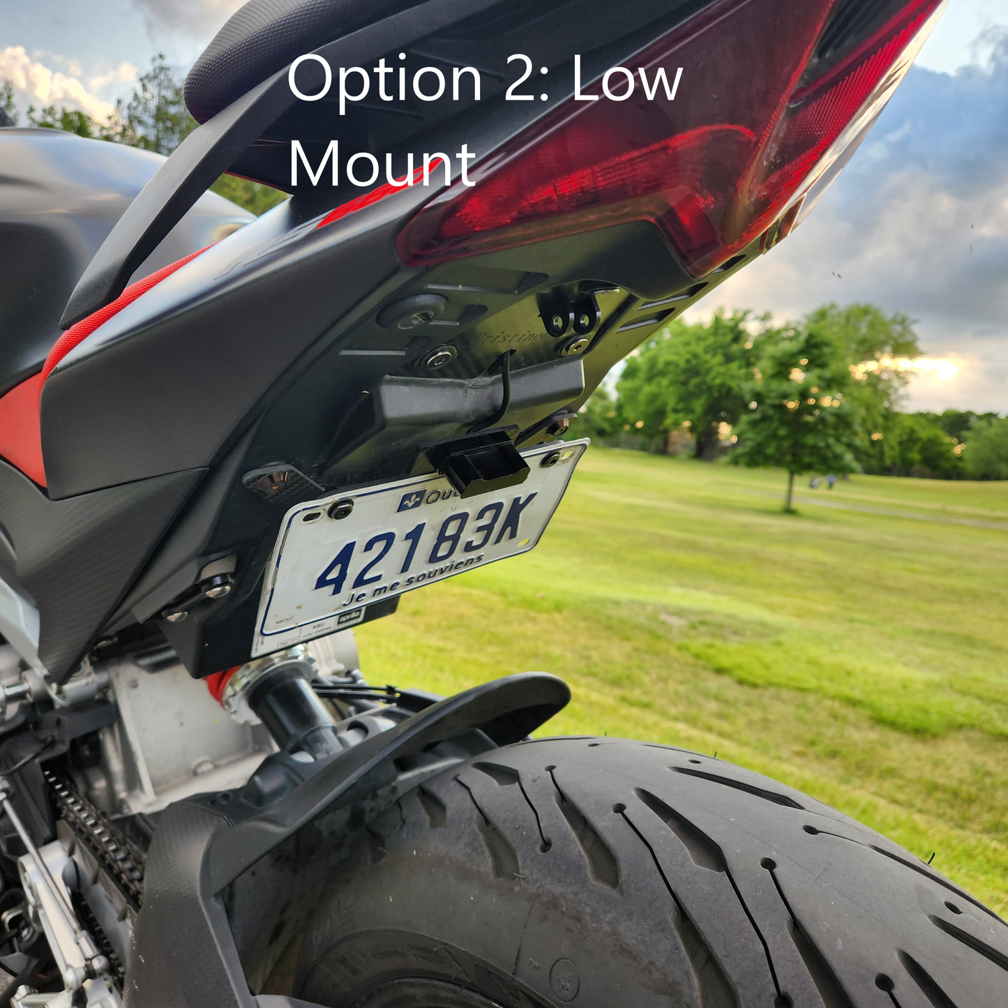 Adjustable Carbon Fiber Fender Eliminator (No Turn Signals) for Aprilia RS 660 / Tuono 660