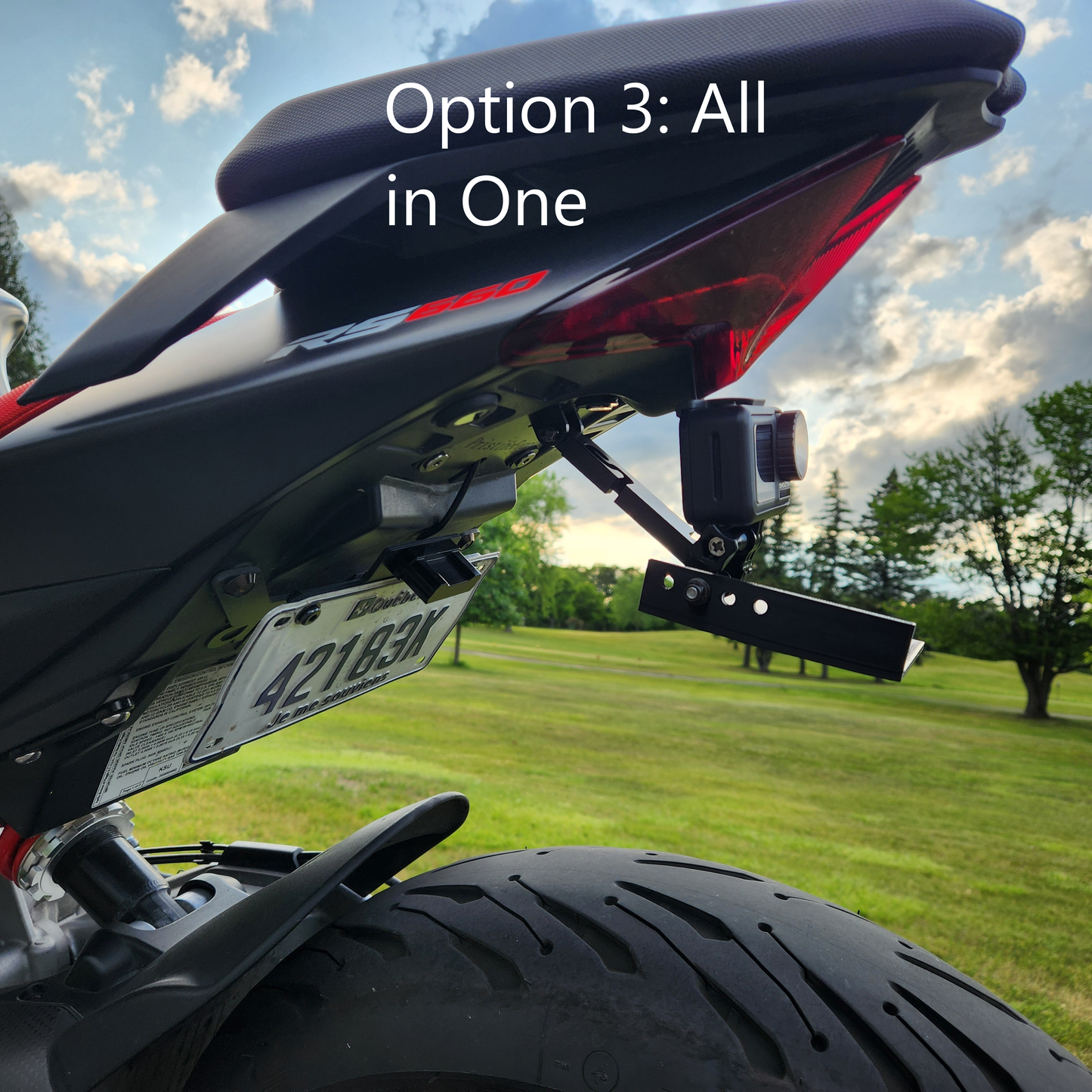 Adjustable Carbon Fiber Fender Eliminator (No Turn Signals) for Aprilia RS 660 / Tuono 660